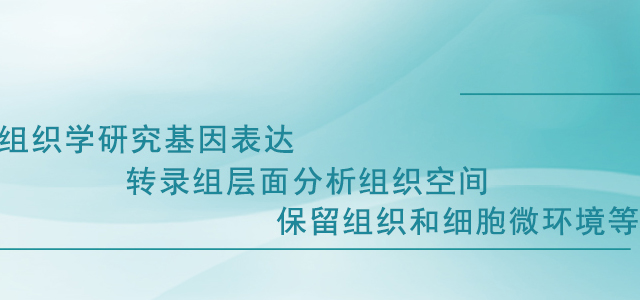 晶能生物技术（上海）有限公司